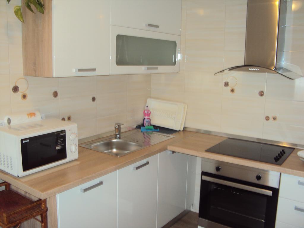 Apartment Maruska Tolmin Værelse billede